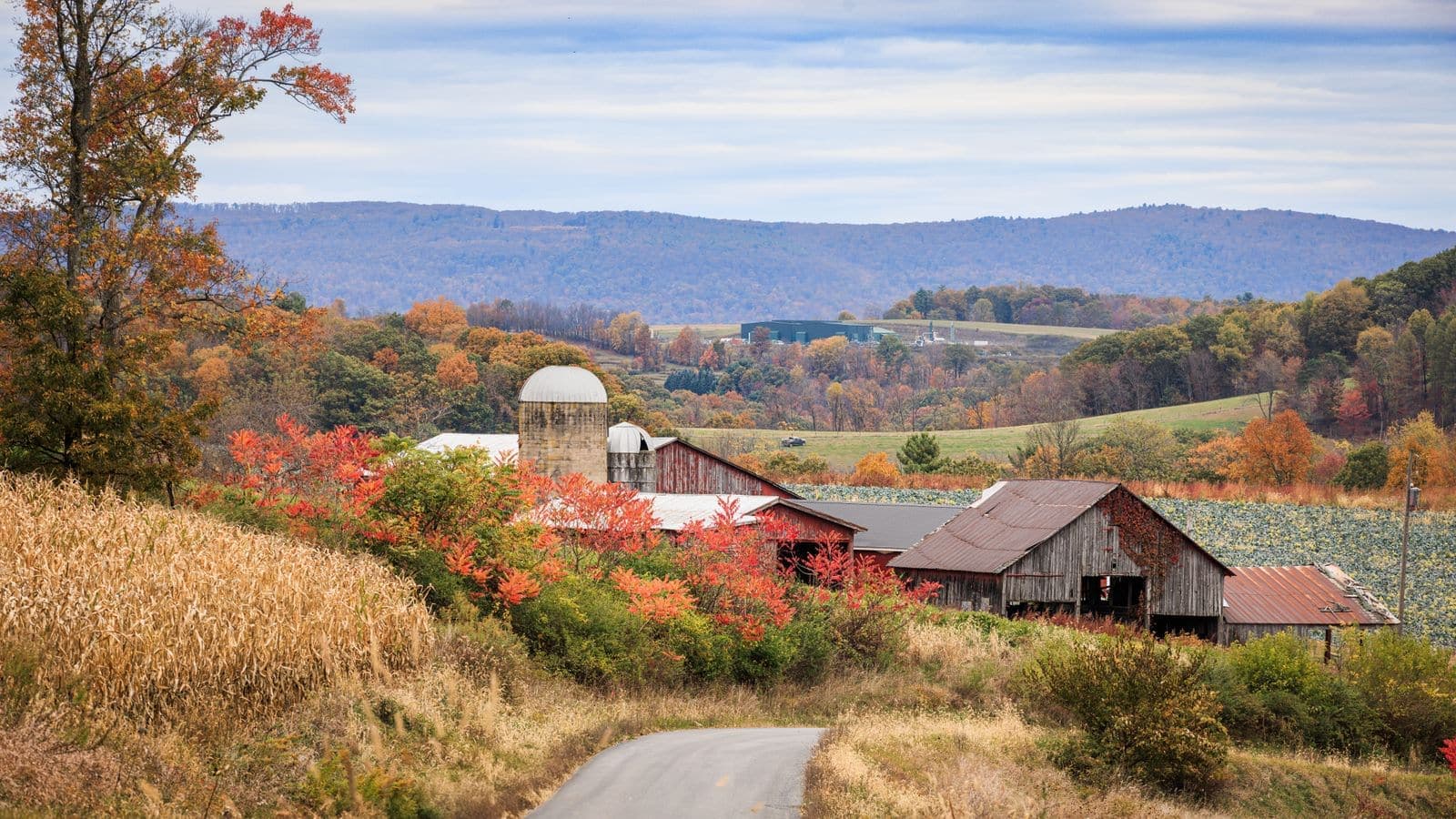 Autumn view of a scenic farm with red barns