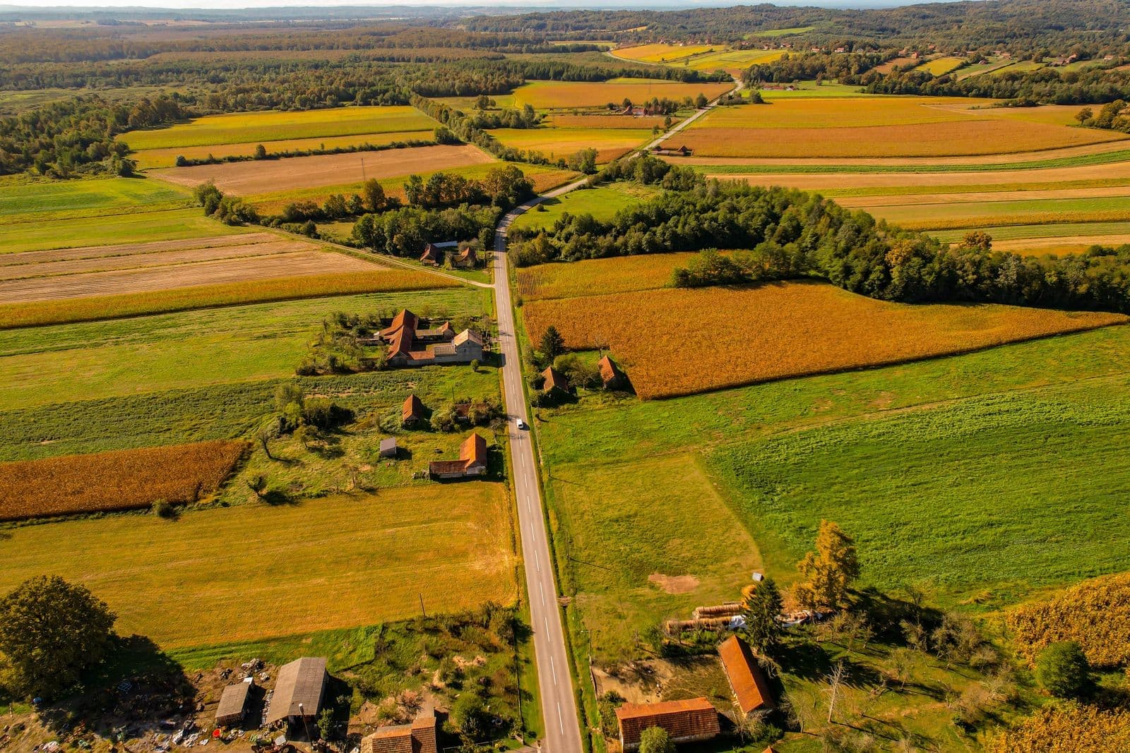 A vibrant aerial view of farmlands and a rural road