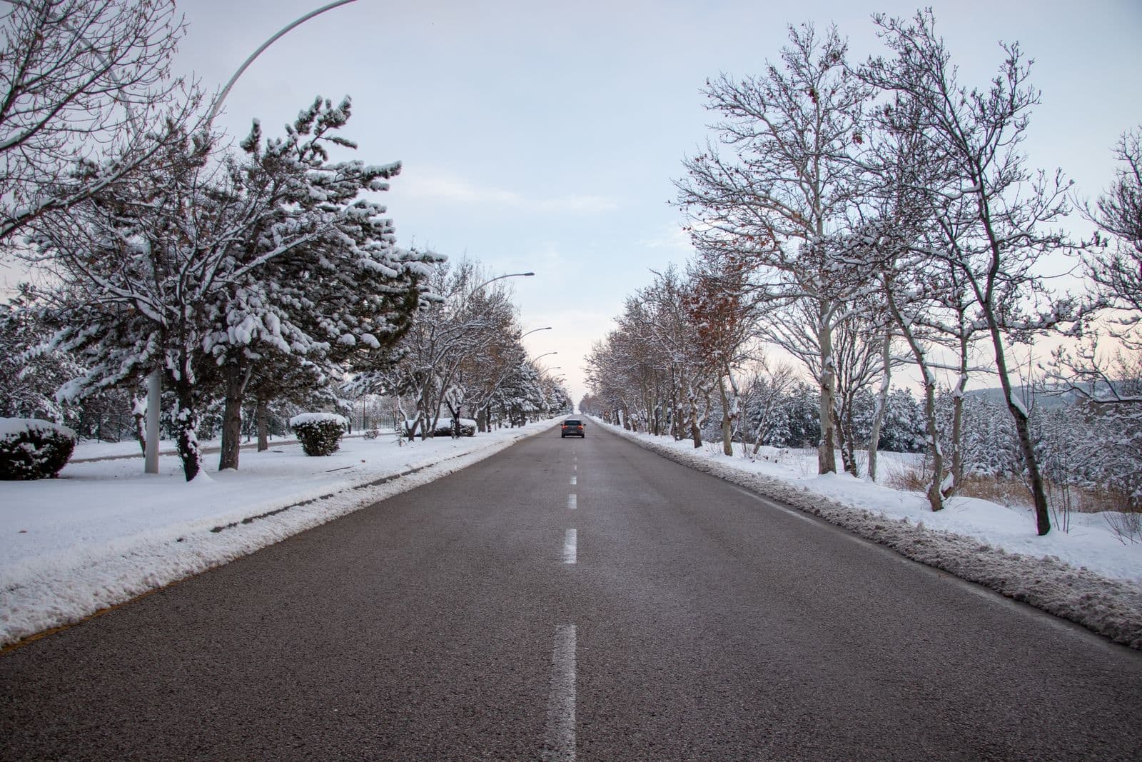 A scenic winter road flanked by snow-covered trees and a lone car driving down the middle.